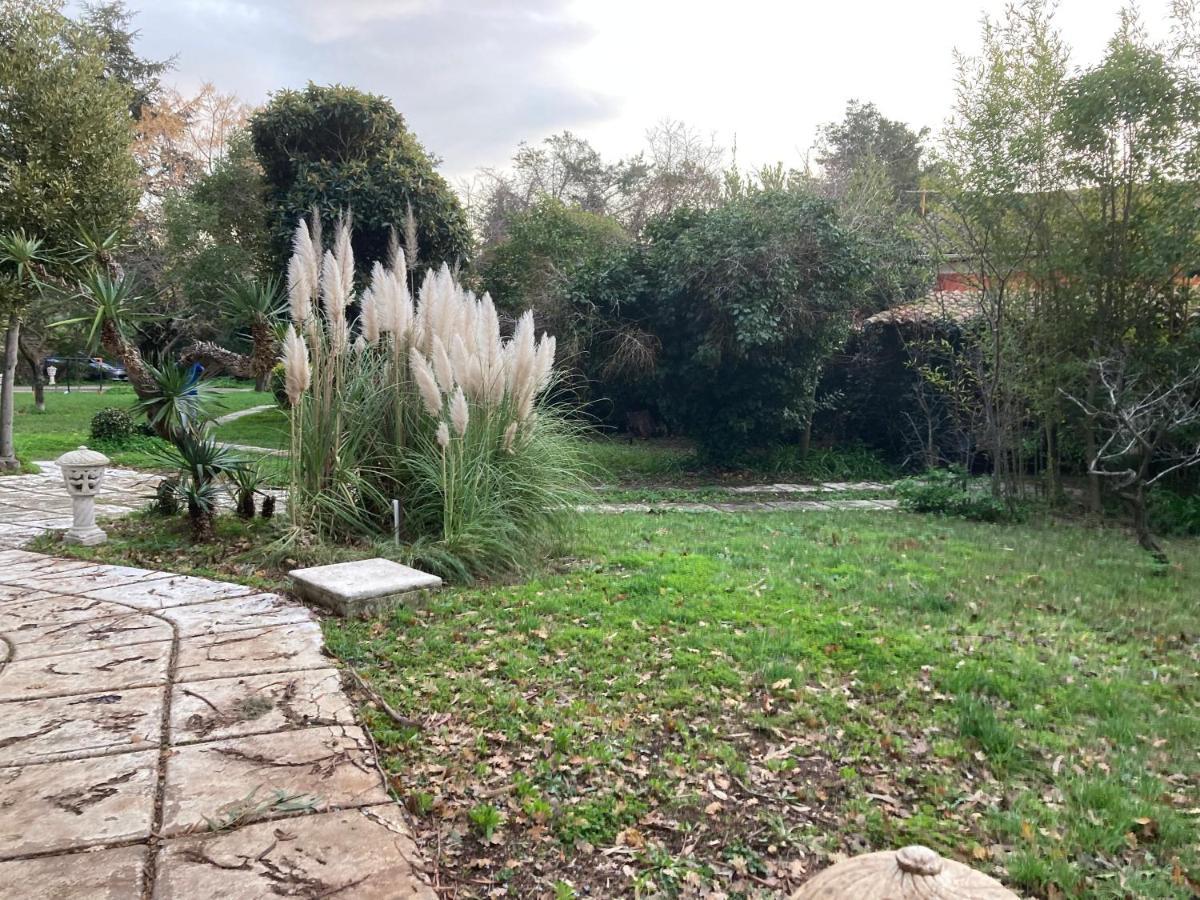 Gite Encore Un Soir Hyères Buitenkant foto